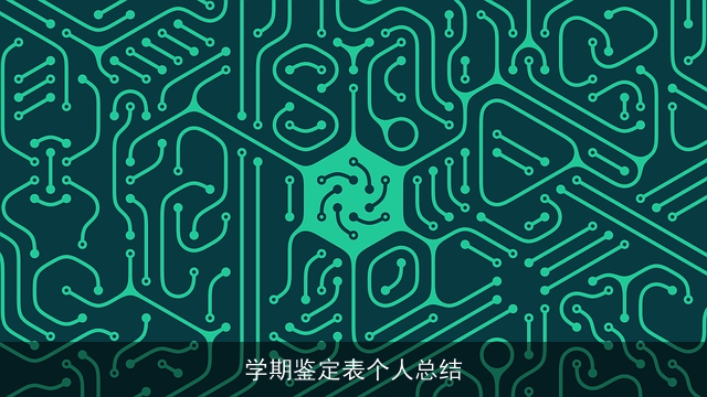 学期鉴定表个人总结