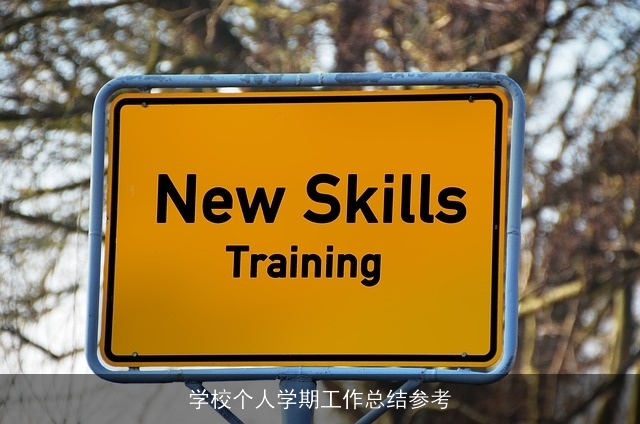 学校个人学期工作总结参考