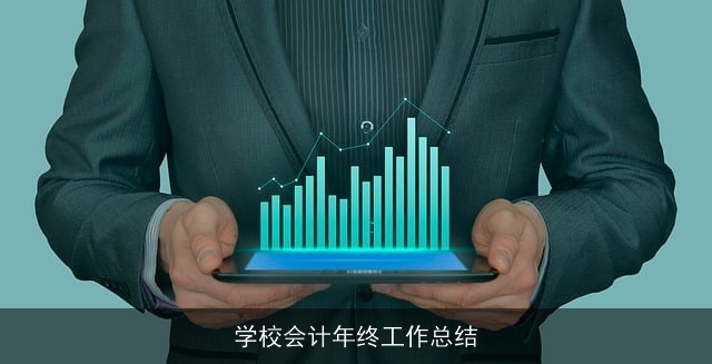学校会计年终工作总结