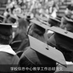 学校信息中心教学工作总结范文