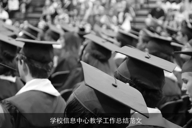 学校信息中心教学工作总结范文