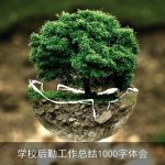 学校后勤工作总结1000字体会