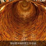学校图书馆年终工作总结