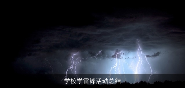 学校学雷锋活动总结