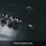 学校安全教育总结