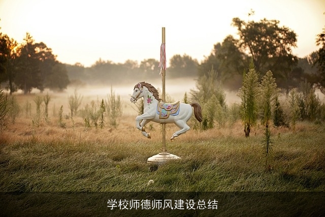 学校师德师风建设总结