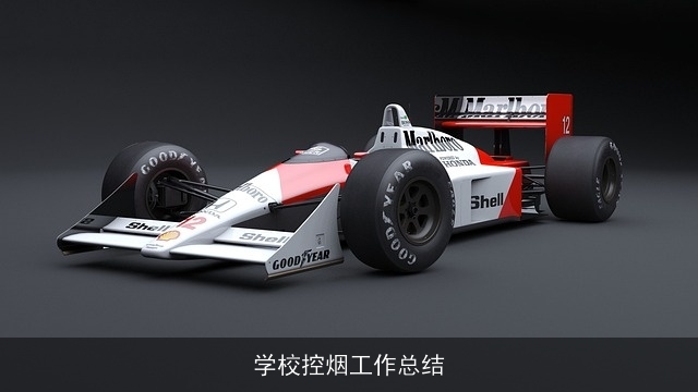 学校控烟工作总结