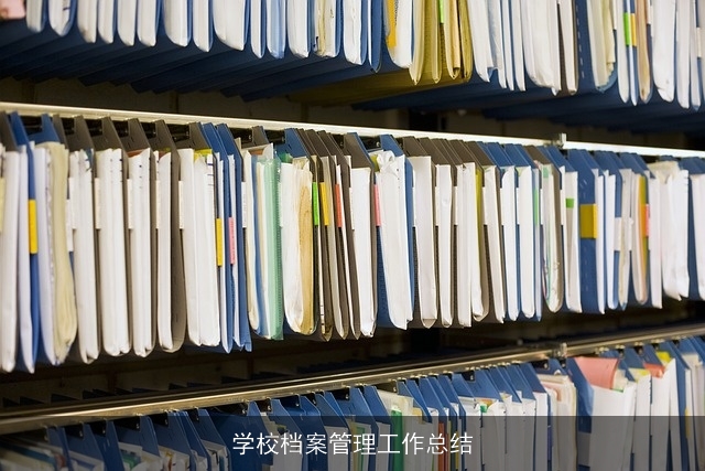 学校档案管理工作总结
