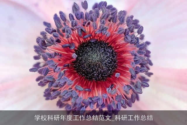 学校科研年度工作总结范文_科研工作总结