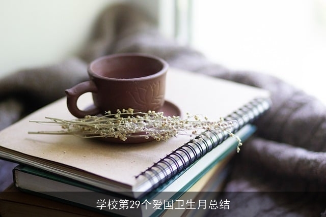 学校第29个爱国卫生月总结