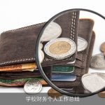 学校财务个人工作总结