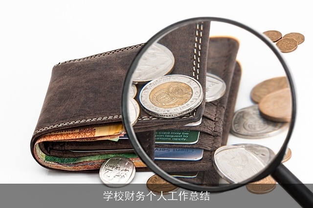 学校财务个人工作总结
