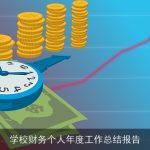 学校财务个人年度工作总结报告