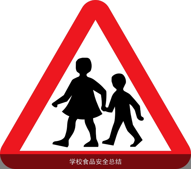 学校食品安全总结