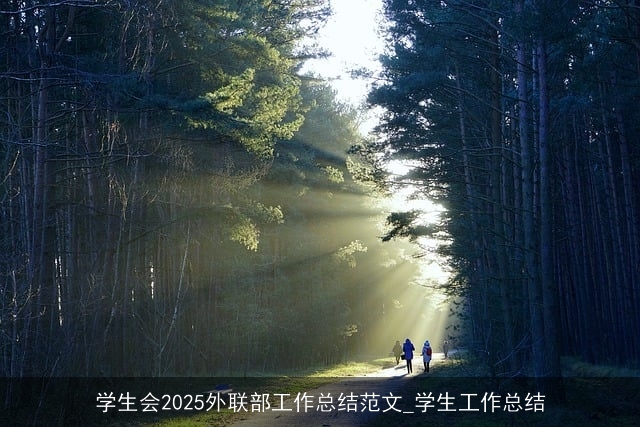 学生会2025外联部工作总结范文_学生工作总结