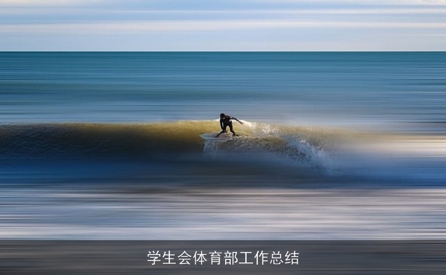 学生会体育部工作总结