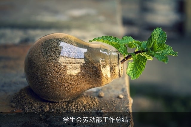 学生会劳动部工作总结