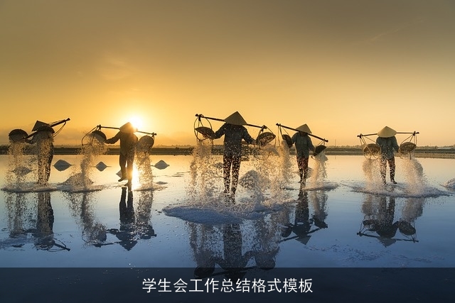 学生会工作总结格式模板