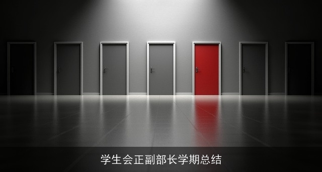 学生会正副部长学期总结