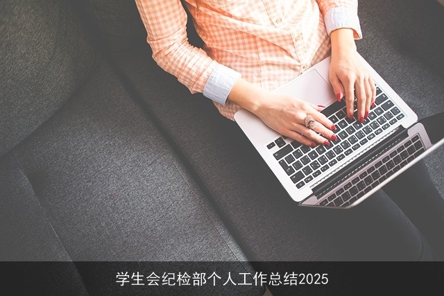 学生会纪检部个人工作总结2025