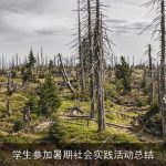 学生参加暑期社会实践活动总结