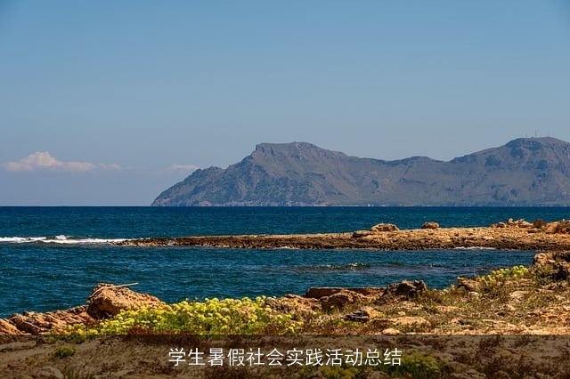 学生暑假社会实践活动总结