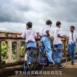 学生社会实践活动总结范文