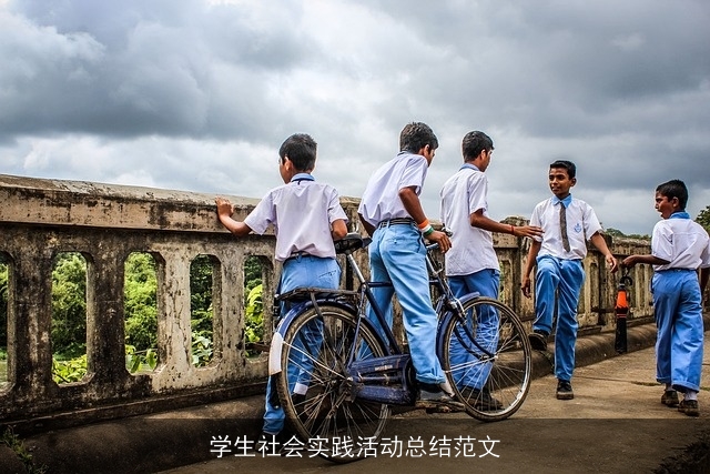 学生社会实践活动总结范文