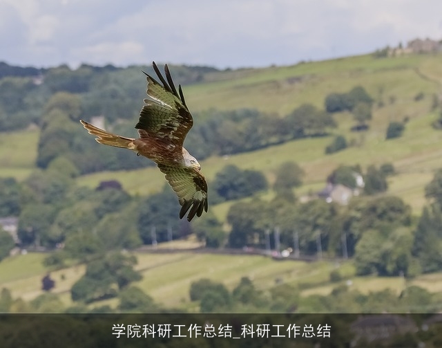 学院科研工作总结_科研工作总结