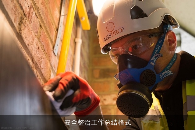 安全整治工作总结格式