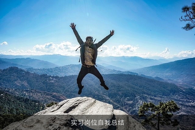 实习岗位自我总结