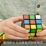 实习护士总结报告2025年格式