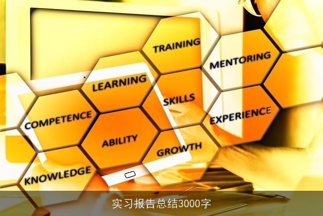 实习报告总结3000字