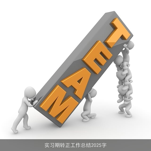 实习期转正工作总结2025字