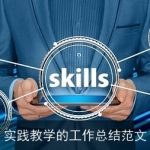 实践教学的工作总结范文