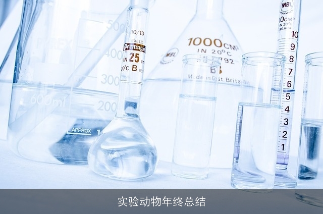实验动物年终总结