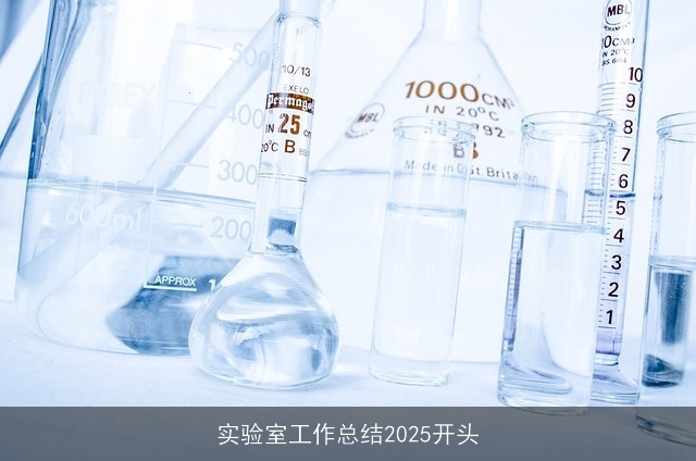 实验室工作总结2025开头