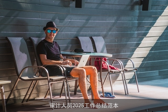 审计人员2025工作总结范本