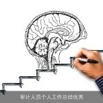 审计人员个人工作总结优秀