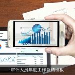 审计人员年度工作总结模板