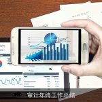 审计年终工作总结