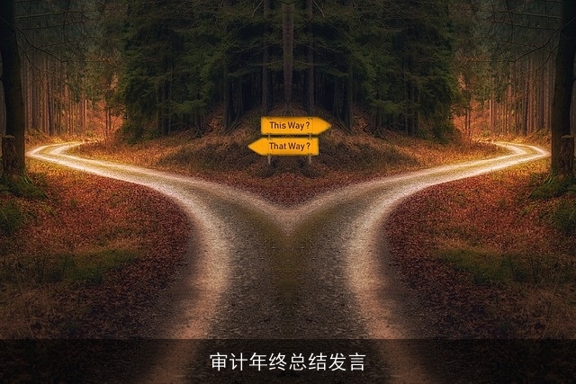 审计年终总结发言