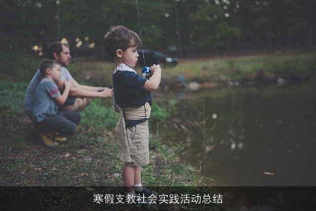 寒假支教社会实践活动总结