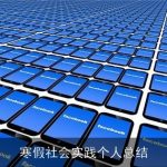 寒假社会实践个人总结