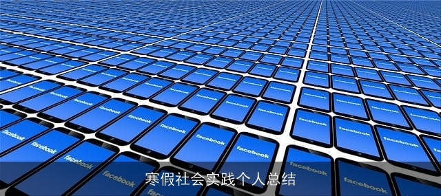 寒假社会实践个人总结