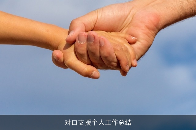 对口支援个人工作总结