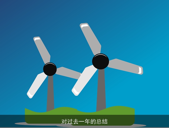 对过去一年的总结