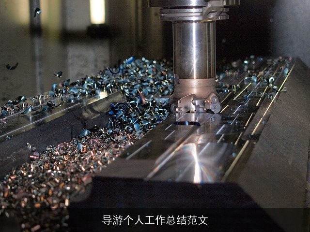 导游个人工作总结范文