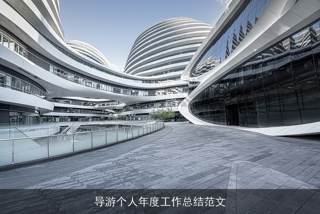 导游个人年度工作总结范文