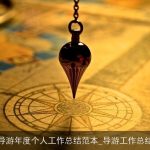 导游年度个人工作总结范本_导游工作总结